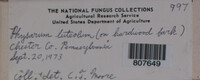 Image Associated With the Occurence